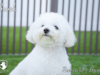 Brook_Web 10