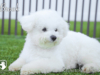 Brook_Web 7