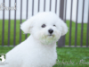 Brook_Web 8
