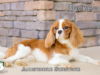 Dickens_Web 6