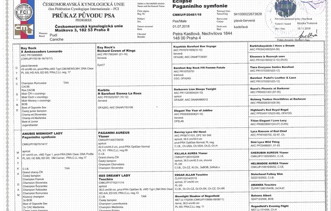 Jonas_Pedigree